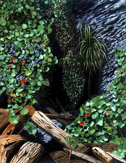 Nasturtium Cove -- artwork &copy; Shelley Martin