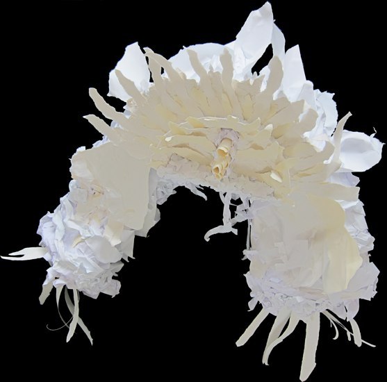 Anenome -- photo by Sienna M Potts -- artwork &copy; Shelley Martin