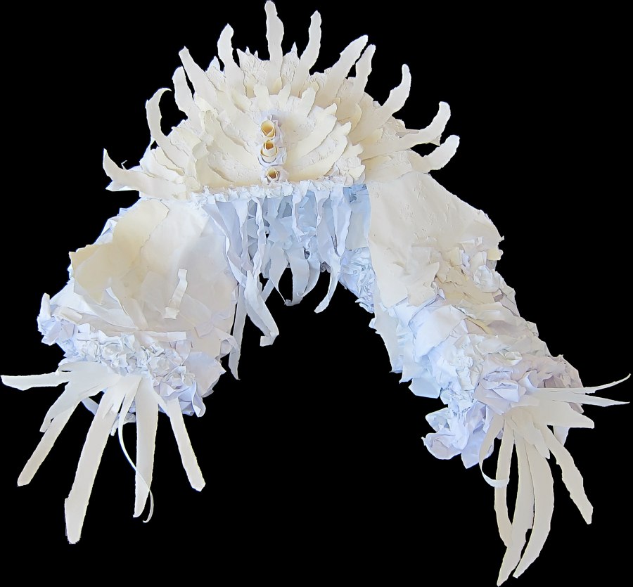 Anenome -- photo by Sienna M Potts -- artwork &copy; Shelley Martin