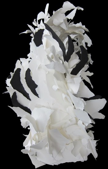 Black Has Come -- photo by Sienna M Potts -- artwork &copy; Shelley Martin