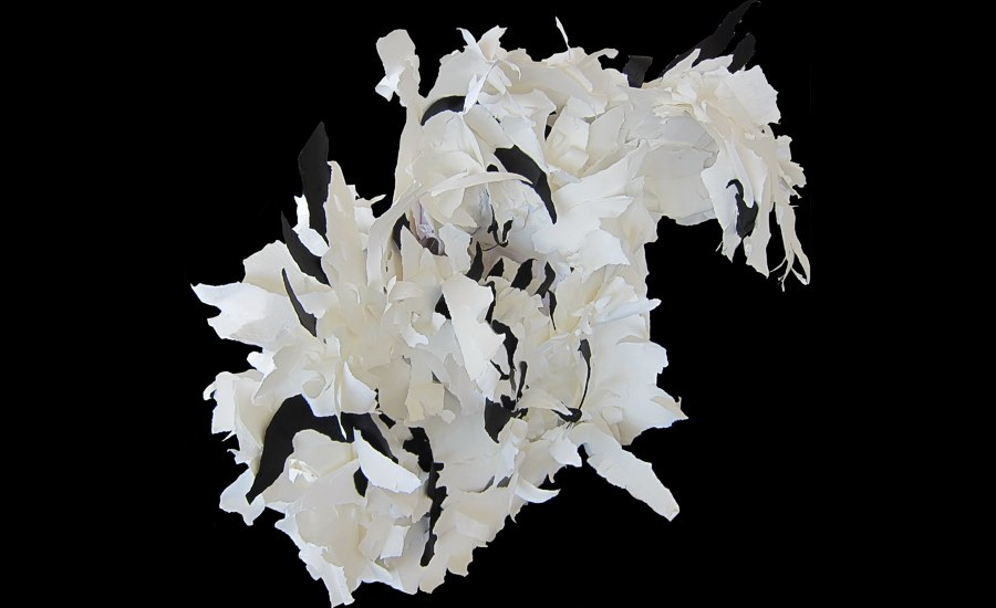 Black Has Come -- photo by Sienna M Potts -- artwork &copy; Shelley Martin