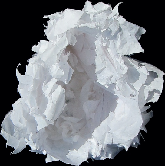 Enveloped -- photo by Sienna M Potts -- artwork &copy; Shelley Martin