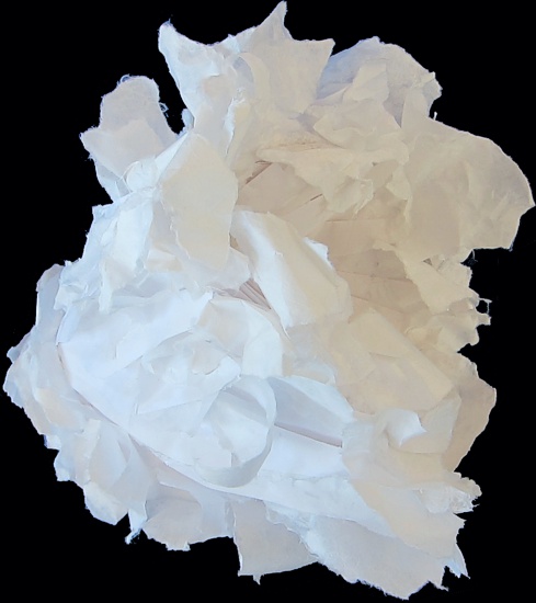 Enveloped -- photo by Sienna M Potts -- artwork &copy; Shelley Martin