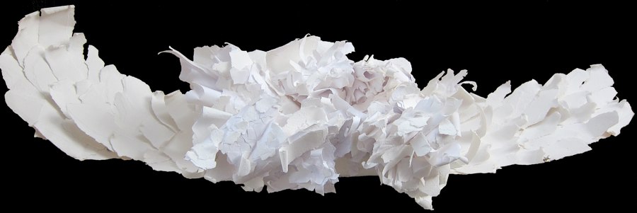 Wings -- photo by Sienna M Potts -- artwork &copy; Shelley Martin