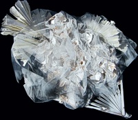 Fantasm -- photo by Sienna M Potts -- artwork &copy; Shelley Martin (click to see a larger version of the paper sculpture)