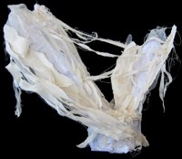 Fragment -- photo by Sienna M Potts -- artwork &copy; Shelley Martin (click to see a larger version of the paper sculpture)