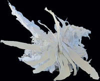 Two Mouths Are Better Than One -- photo by Sienna M Potts -- artwork &copy; Shelley Martin (click to see a larger version of the paper sculpture)