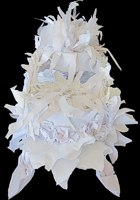 click to see larger image