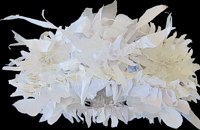 click to see larger image