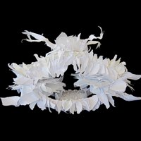 click to see larger image