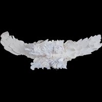 Wings -- photo by Sienna M Potts -- artwork &copy; Shelley Martin (click to see a larger version of the paper sculpture)